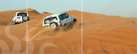 Reisebüro Tourismusverband Captain Tours LLC Reisebüro Tourismusverband Captain Tours LLC