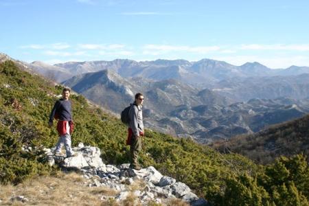 Viator Travel