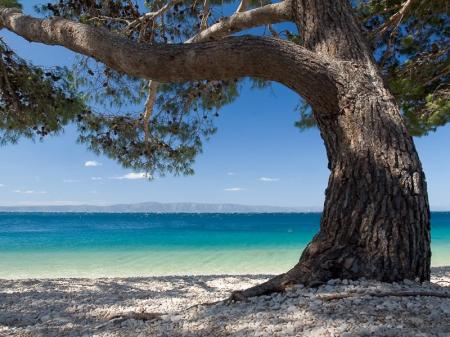 Huoneisto Loma-asunto Vila Ventus Makarska Huoneisto Loma-asunto Vila Ventus Makarska