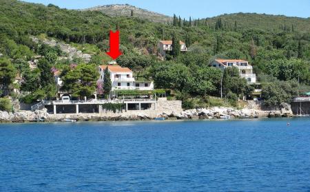 Apartments Miovic Molunat