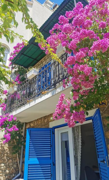 Apartman Villa Mira Bol Apartments&Rooms_winter Apartman Villa Mira Bol Apartments&Rooms_winter