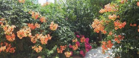 Privatvermieter Guest House Rojnic_winter Privatvermieter Guest House Rojnic_winter