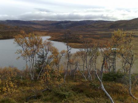 Lonin Gård og Camping