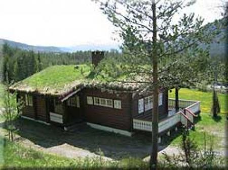 Lie Hytteutleige, Åmdals Verk, Dalen