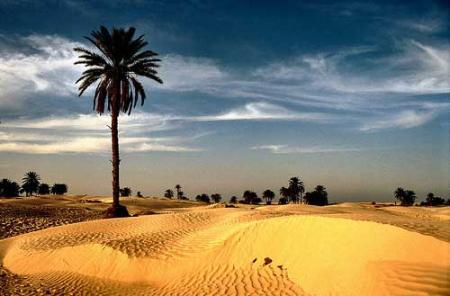 Reisebüro Tourismusverband deepadvisor.fr.gd Reisebüro Tourismusverband deepadvisor.fr.gd