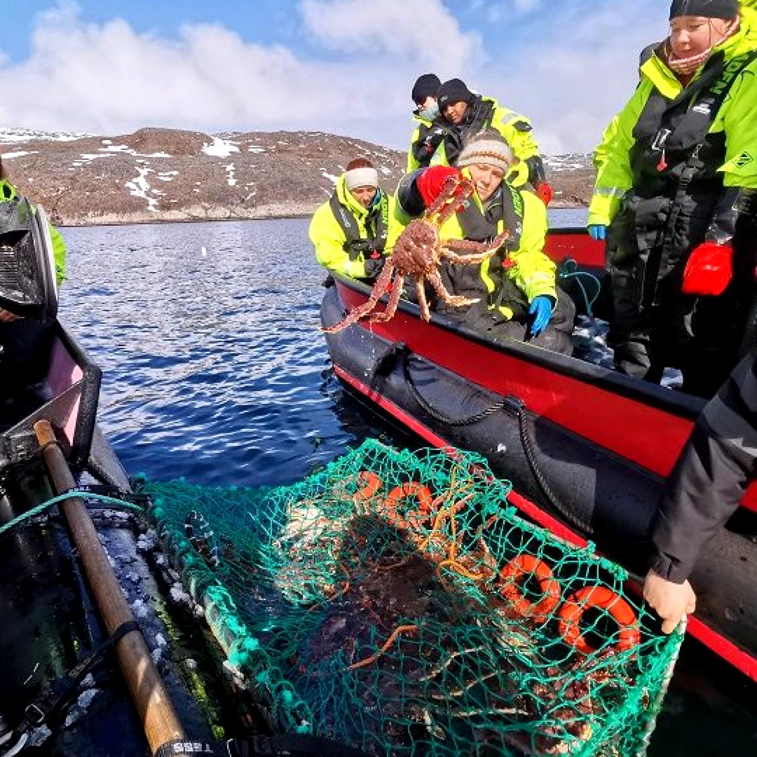 Visit Bugøynes - Beds, Boats, Bistro, Safaris & Sauna
