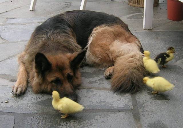 Bauernhof Wellness-Bereich