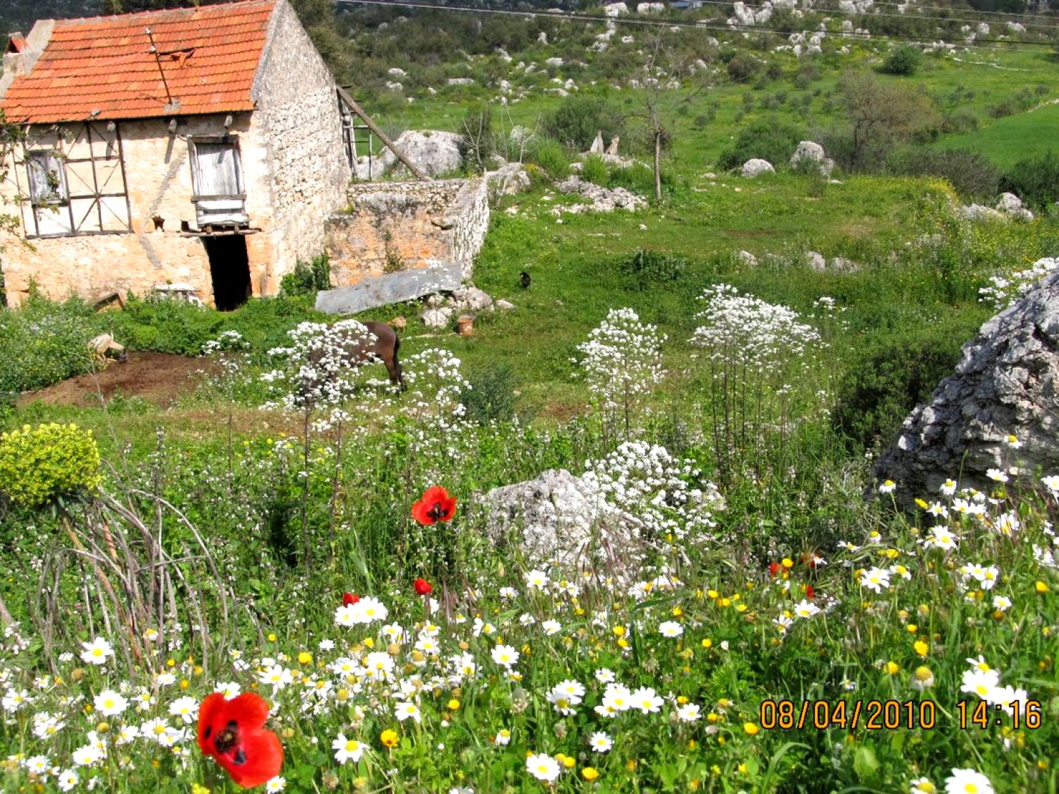 Hoyran Wedre Koy Evleri