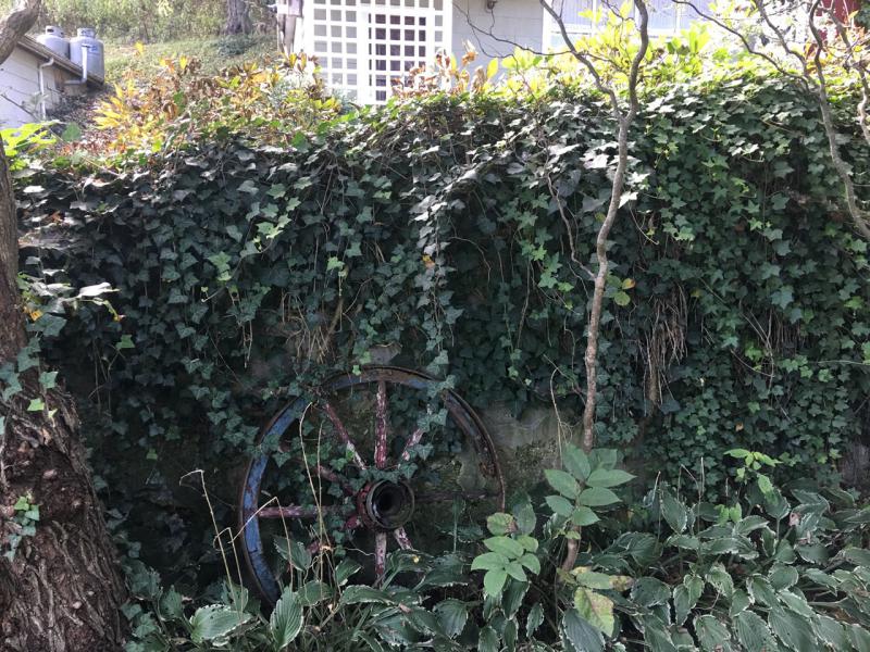 Almhütte Berghütte North Carolina