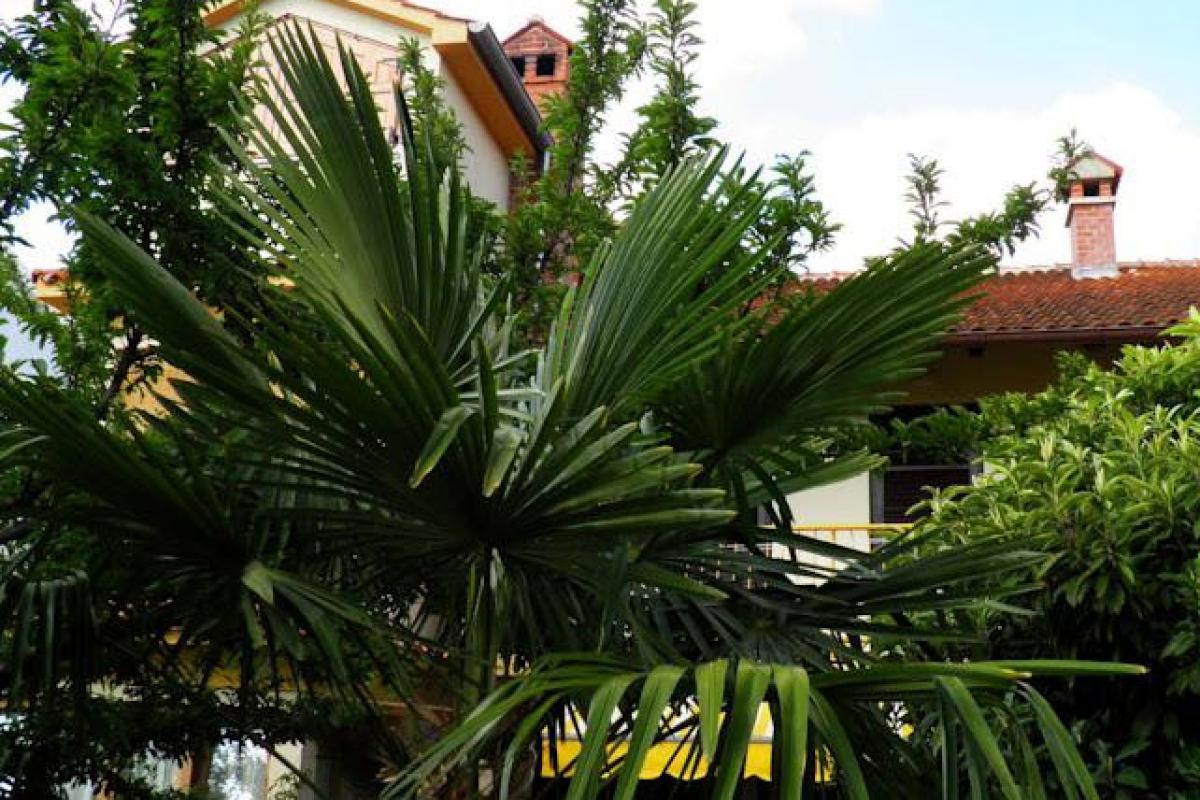 Appartement Ferienwohnung Radverleih