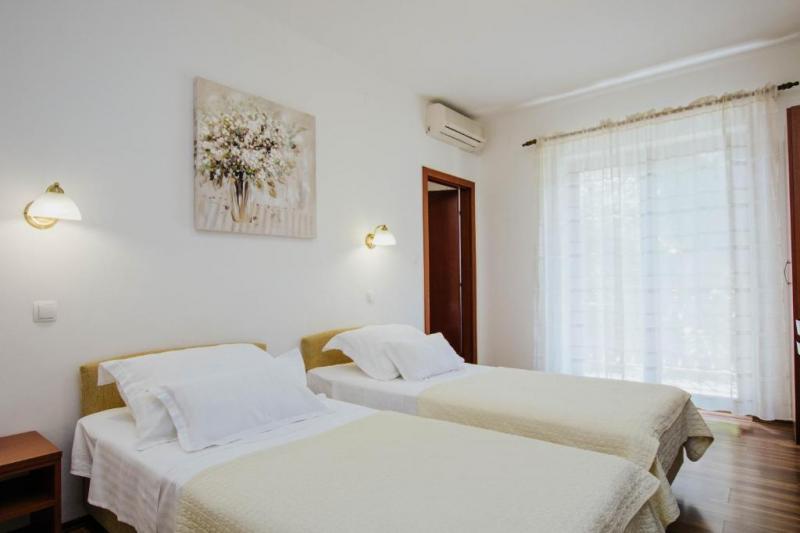 z1.jpg