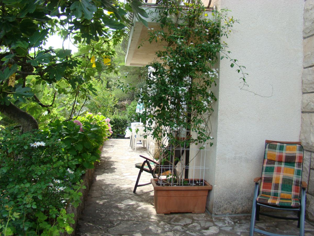 30-3083-14081.jpg