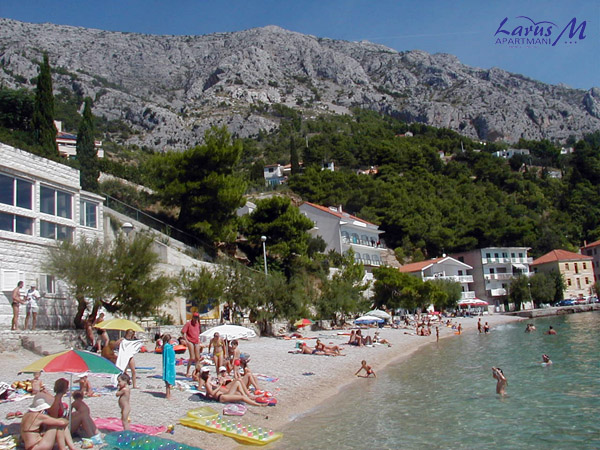 mimice-velika19.jpg