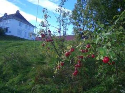 Fincas / Alojamiento Rural / Casa Rural Vestfold