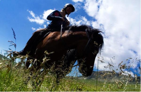 Appartement Ferienwohnung Norwegen