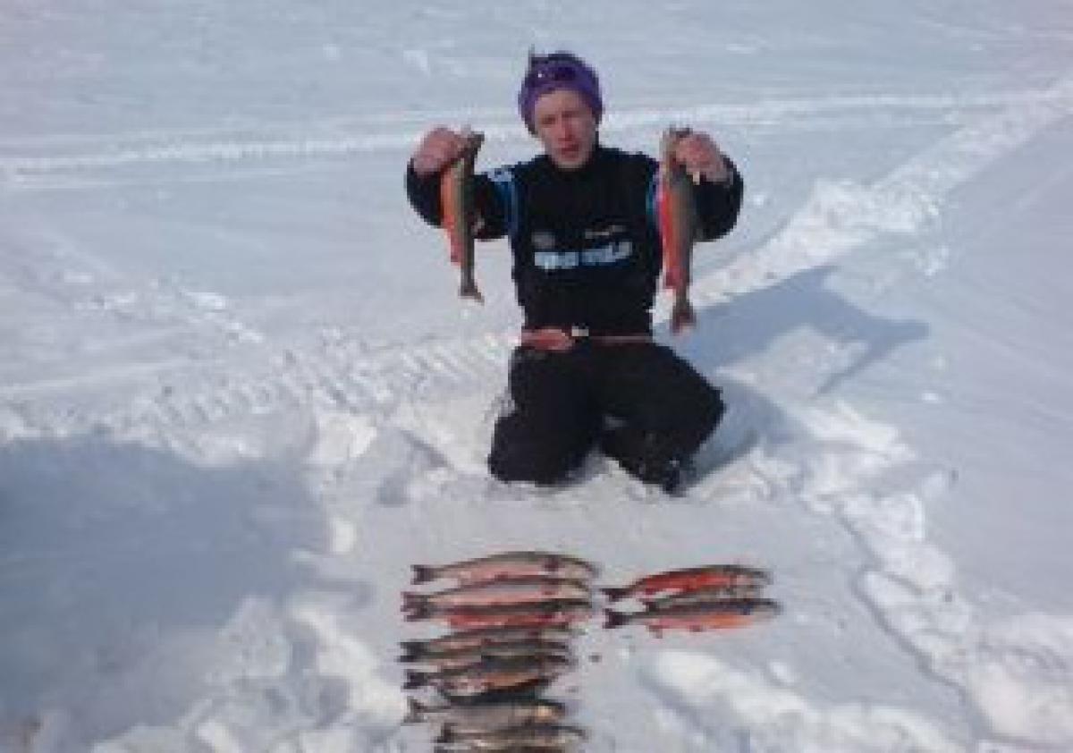 Almhütte Berghütte Sauna