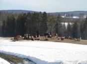 Fincas / Alojamiento Rural / Casa Rural Hedmark