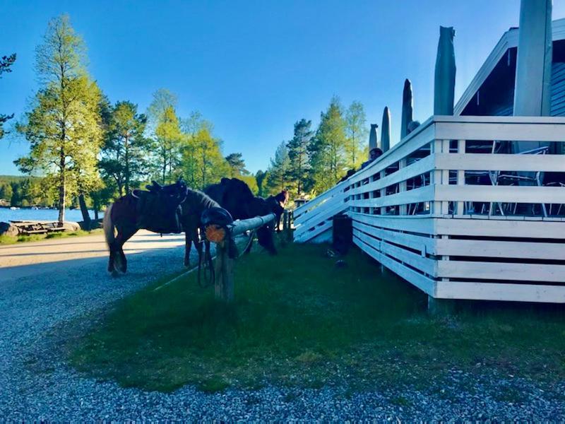 Apartamento para vacaciones Hedmark