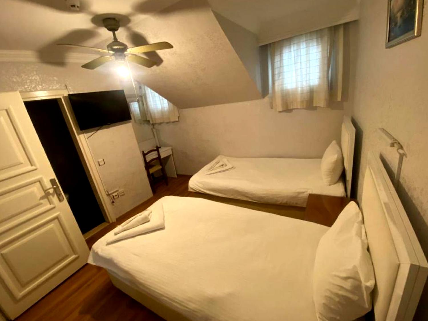 Hotel Antique