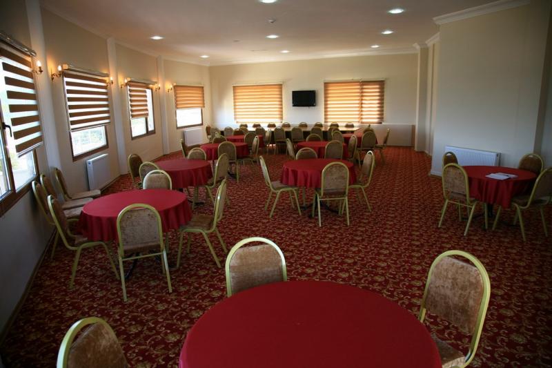 Hotel Planiska party
