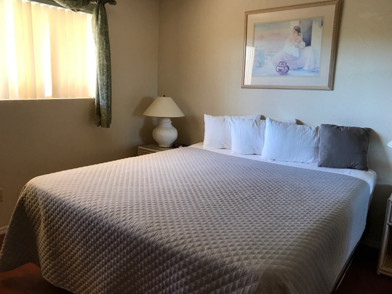 Hotel Equitazione